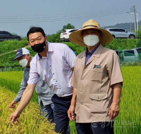 [크기변환]210812 김인영 의원, 이천쌀 조기수확 실증 평가 현장 방문 (2).jpg