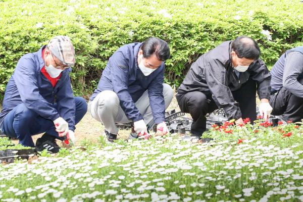 [크기변환]사본 -4-1 백군기 용인시장이 수지근린공원에서 시민들과 봄꽃을 심고 있다..jpg