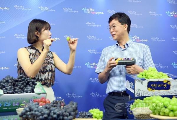 [크기변환]88.이민근 안산시장, 대부포도 농가 돕기 유튜브 홍보 나서 (2).jpg