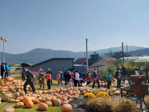 [크기변환]03 양평군 용문 별똥밭, 할로윈 축제(2).jpg
