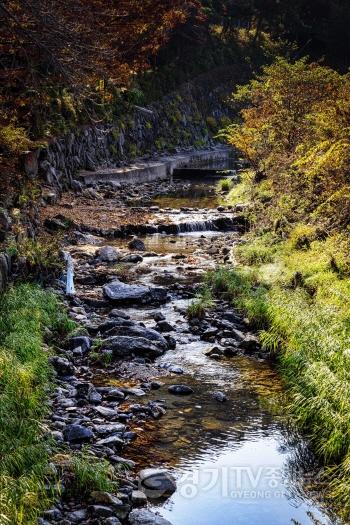 [크기변환]보도사진(역사생태탐방로 동학의길 개장) (2).jpg