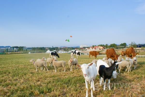 [크기변환]사본 -6. 안성팜랜드1.jpg