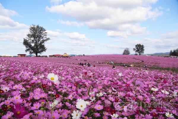 [크기변환]사본 -6. 안성팜랜드2.jpg