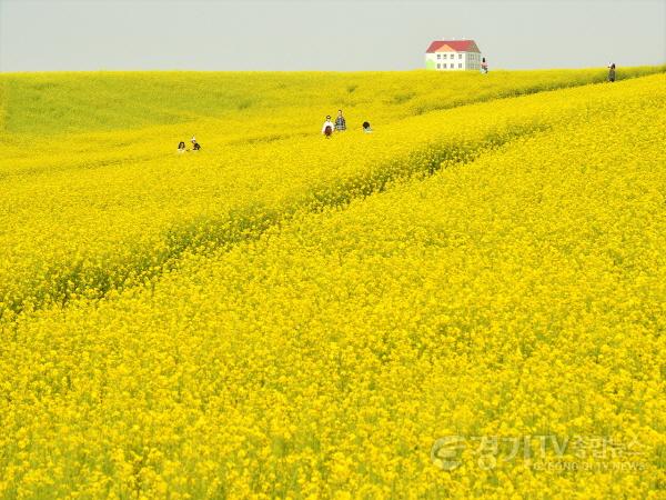 [크기변환]3-1.안성이 안성맞춤(안성팜랜드).jpg