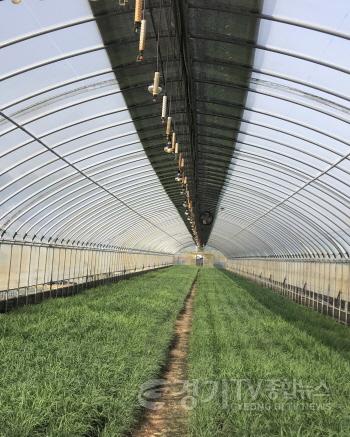 [크기변환]사본 -02- 여주시, 농촌인구 고령화 대비를 위하여 전동운반차 지원 (2).jpg