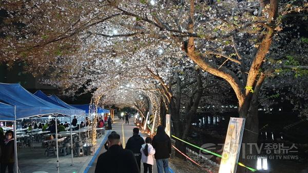 [크기변환]사본 -01 제2회 용문힐링로드 걷기대회(2).jpg