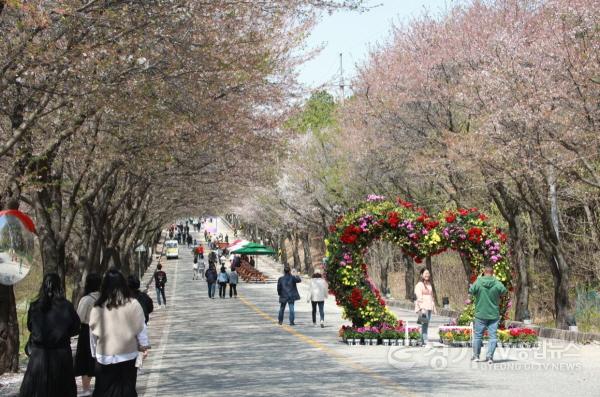 [크기변환]사본 -지역01- 제7회 여주흥천 남한강 벚꽃축제 마무리 (1).jpg