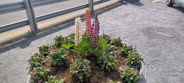 [크기변환]사본 -지역03- “예쁜꽃 제발 눈으로만 봐주세요” (전 사진).jpg