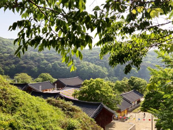 [크기변환]3.5월안성여행 칠장사.jpg