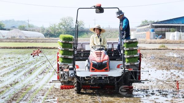[크기변환]사본 -모내기철 영농현장 격려 및 벼 드문모심기 시연회 (6).jpg