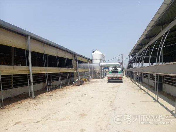 [크기변환]사본 -2.구제역 방역소독.jpg