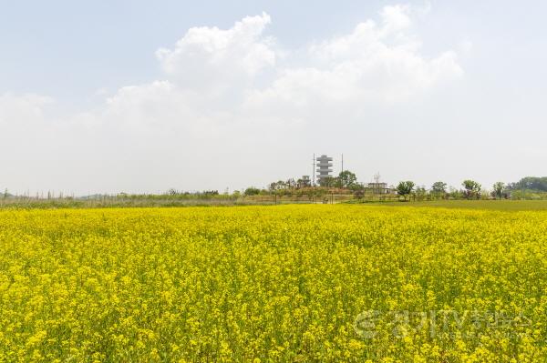 [크기변환]사본 -2. 초화정원.jpg