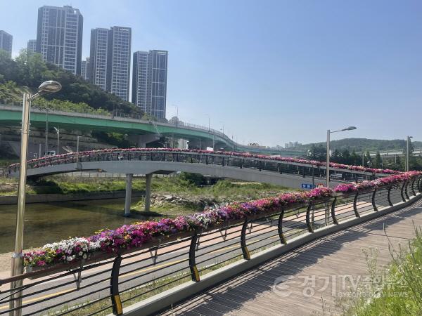 [크기변환]사본 -5. 영덕2동 청현교 난간에 설치한 페튜니아가 활짝 펴 있다..jpg