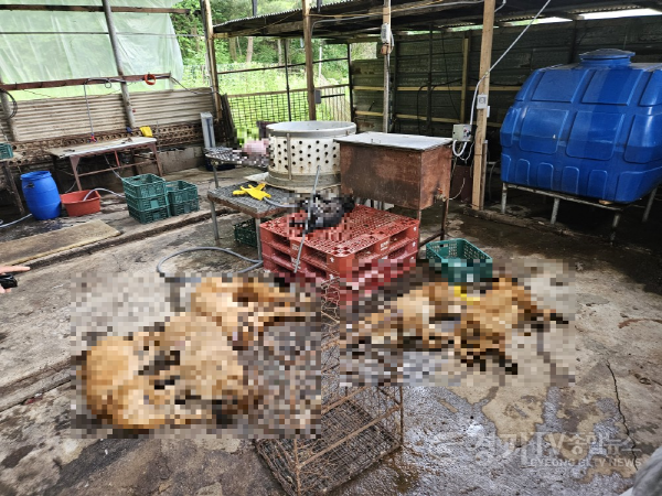 [크기변환]사본 -사진자료 (2).png