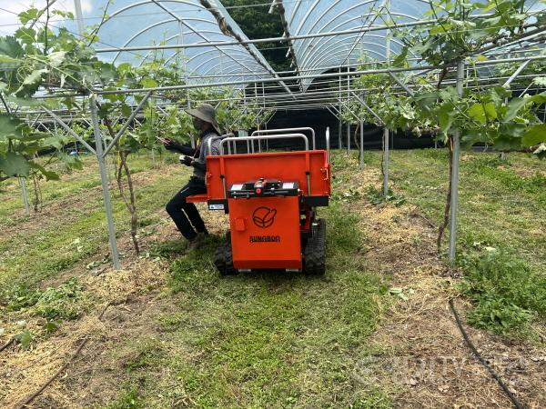 [크기변환]사본 -2-1. 한 농가에서 용인특례시가 대여한 동력운반차를 이용해 작물을 관리하고 있다.jpg