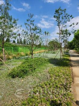 [크기변환]사본 -3-1. 기흥구가 탄천 일원에서 테마가 있는 보행환경 조성사업을 마무리했다..jpg