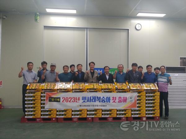 [크기변환]사본 -2023년 햇사레 복숭아 첫 출하 기념행사 (1).jpg