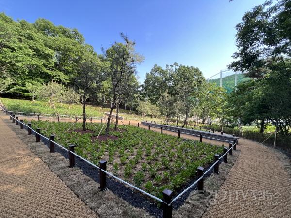 [크기변환]사본 -4-1. 용인특례시가 처인구·기흥구 도시자연공원구역 내 녹지를 활용해 시민녹색쉼터 두 곳을 조성했다. 사진은 유방 시민녹색쉼터..jpg