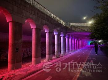 [크기변환]사본 -3. 신봉동 정평천 신봉2교 하부에 설치된 경관조명.jpg