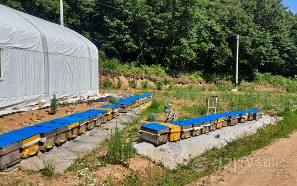 [크기변환]관련사진 2.jpg