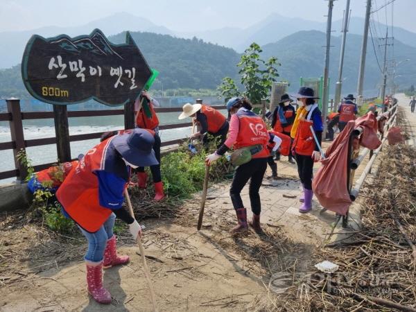 [크기변환]사본 -4. 용인시자원봉사센터 봉사단이 지난21일 충북 괴산 칠성면 외사리 일대 하천변을 정리하고 있다 (1).jpg