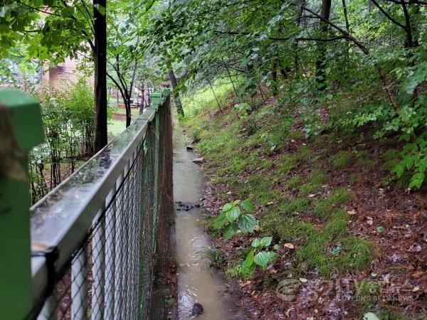 [크기변환]1-1. 동백고등학교 담장 옆 우수시설에 고인 빗물(전).jpg