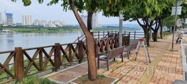 [크기변환]01-여주시 외과수술을 통해 가로수 관리 시행 관련사진(1).jpg