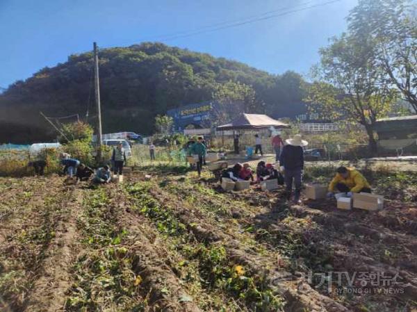 [크기변환](1018)[별내면]남양주시 별내면, 이웃사랑 사업 ‘행복 고구마 수확 및 나눔 행사’ 실시(사진2).jpeg