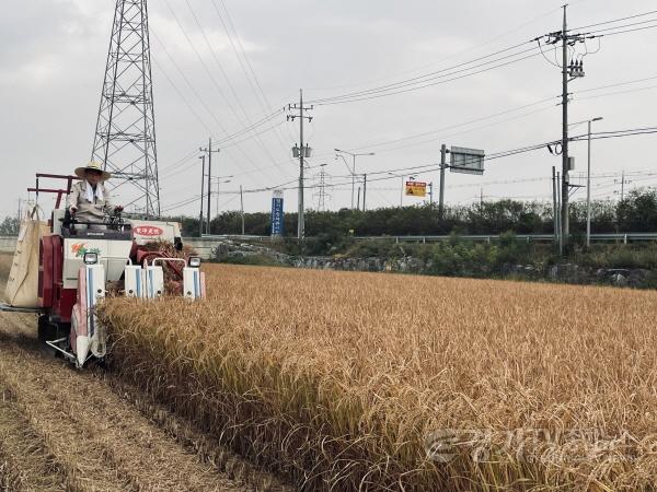 [크기변환]토종벼베기2 (1).jpg