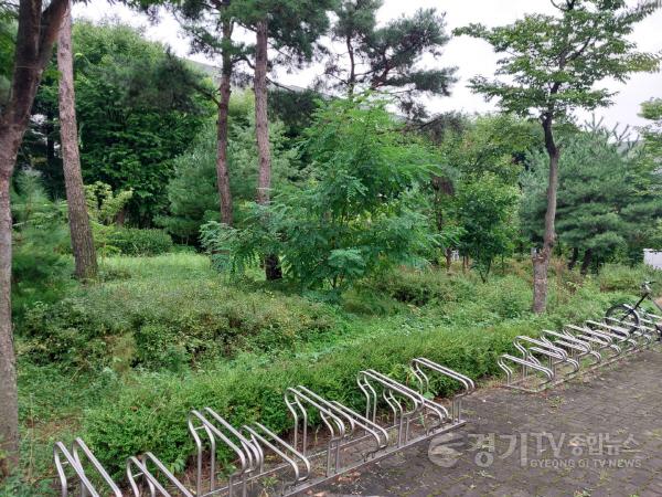 [크기변환]8. 용인특례시가 올해 기흥구 상갈역 일원 유휴지를 정원 공간으로 조성하면서 태양광 에너지 벤치 등을 설치할 예정이다..jpg