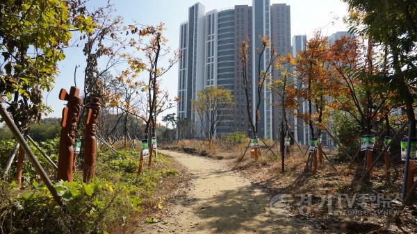 [크기변환]1-1 오색둘레길_2코스_석산숲길.JPG