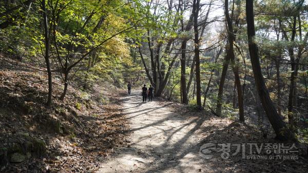 [크기변환]1-4 오색둘레길_4코스_독산숲길.JPG