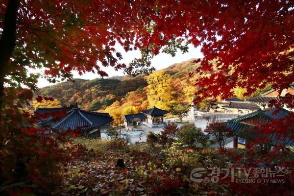 [크기변환]05 용문사(2).jpg