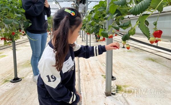 [크기변환]광주시 어린이급식관리지원센터, ‘따요따요, 베리팜!’ 진행 (1).jpg