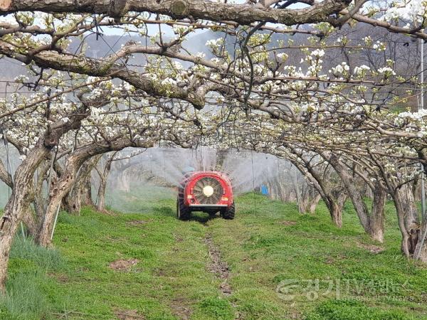 [크기변환]2.적용+농약+살포(배).jpg