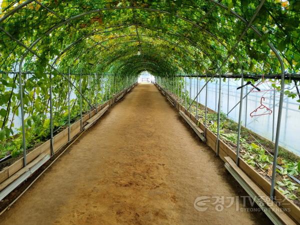 [크기변환]01 맨발걷기길(2).jpg