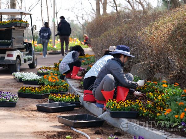 [크기변환]1-4. 용인특례시 관계자가 농촌테마파크 입구에 봄꽃을 심고 있다..jpg