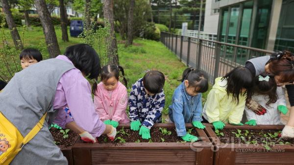 [크기변환]6. 용인특례시가 진행한 어린이 청경채 체험 현장 모습.jpg