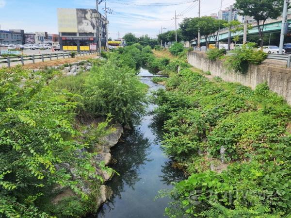 [크기변환]1. 완기천 전경.jpg