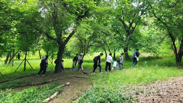 [크기변환](0530)[보육정책과]남양주시, 5월 N 남양주 숲에서 놀자 호응 속 마무리(사진2).jpg