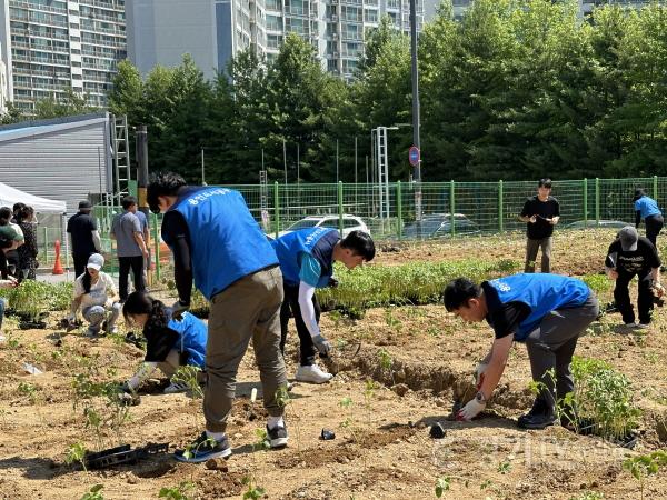 [크기변환]나무심기 사진자료2.jpg