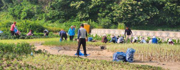 [크기변환]복하천 호법레포츠공원 가드닝 사업.jpg