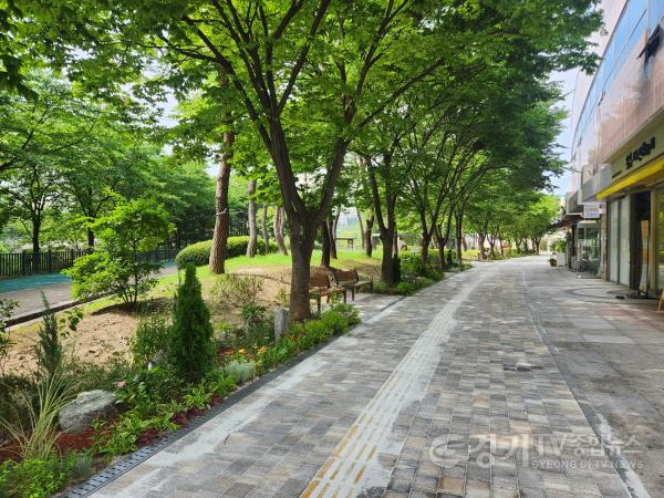 [크기변환]5. 용인특례시는 동백호수공원 중앙광장~공원남쪽출입구 150m 구간 바닥재를 전면 교체하고 보행로 주변에 초화류 등을 심어 거리정원을 조성했다..jpg