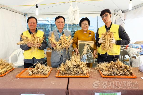 [크기변환]1지난해열린 인삼축제사진1.jpg