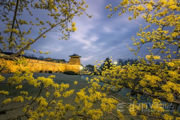 [크기변환]우수상_+박병갑_수원화성+야경(수원+화성).jpg