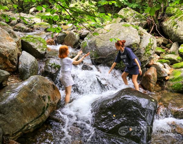 [크기변환]5위 여름휴가 만족도 1위.jpg