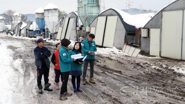 [크기변환]안성 대설 피해 현장 방문-1 (3).jpg