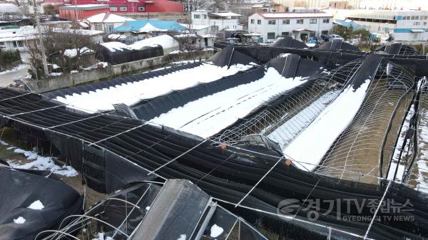 [크기변환]3-1. 용인특례시 폭설로 붕괴된 비닐하우스 모습.jpg