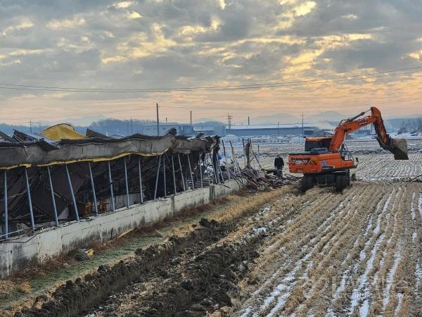 [크기변환]3-2. 용인특례시의 폭설 피해 농가 복구를 위한 철거작업 모습.jpeg