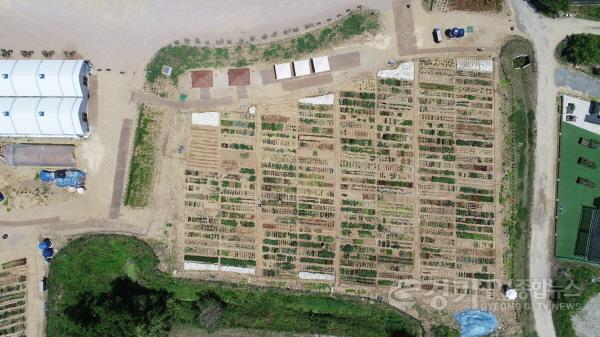 [크기변환]2. 용인시민농장 전경 (1).jpg